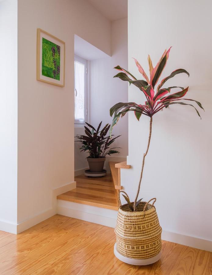 فيلا Botanic Garden Duplex Ponta Delgada المظهر الخارجي الصورة